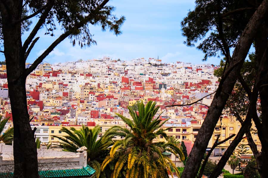 Tarifa: Day trip to Tangier by ferry with exclusive VIP service - Passports, language, and timing