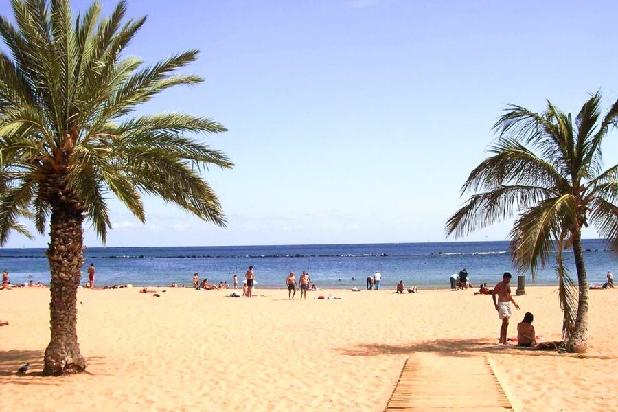 Tenerife: Anaga UNESCO VIP TOUR - Starting in Santa Cruz or La Laguna