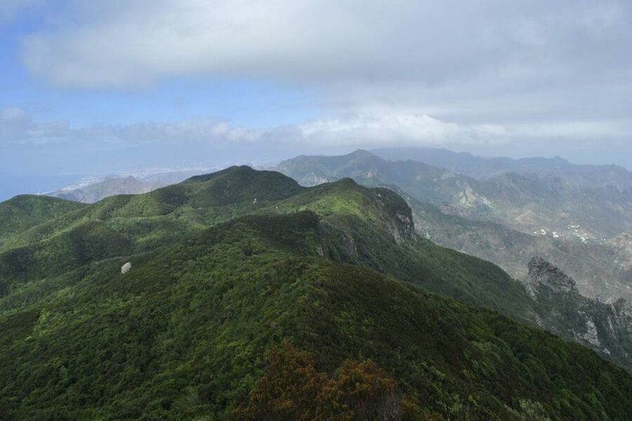 Tenerife: Anaga UNESCO VIP TOUR - Into Anaga’s laurel forest