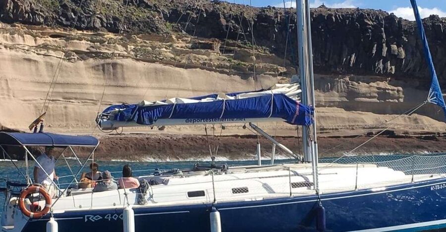 Tenerife: Luxury Private Whale & Dolphin Watching Tour - Key points to know before you book