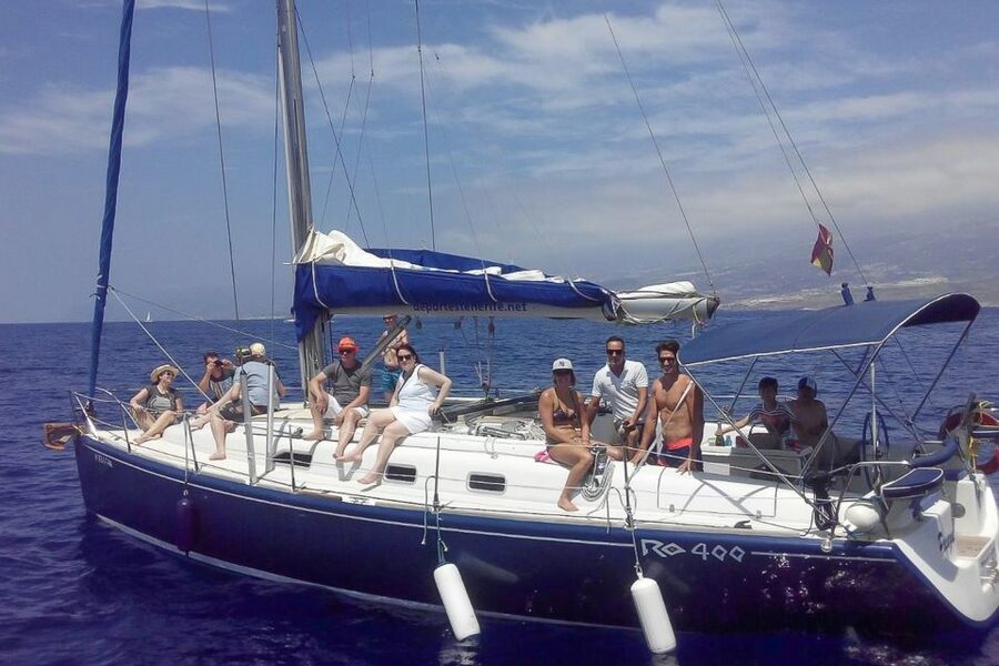 Tenerife: Luxury Private Whale & Dolphin Watching Tour - Three hours or six hours?