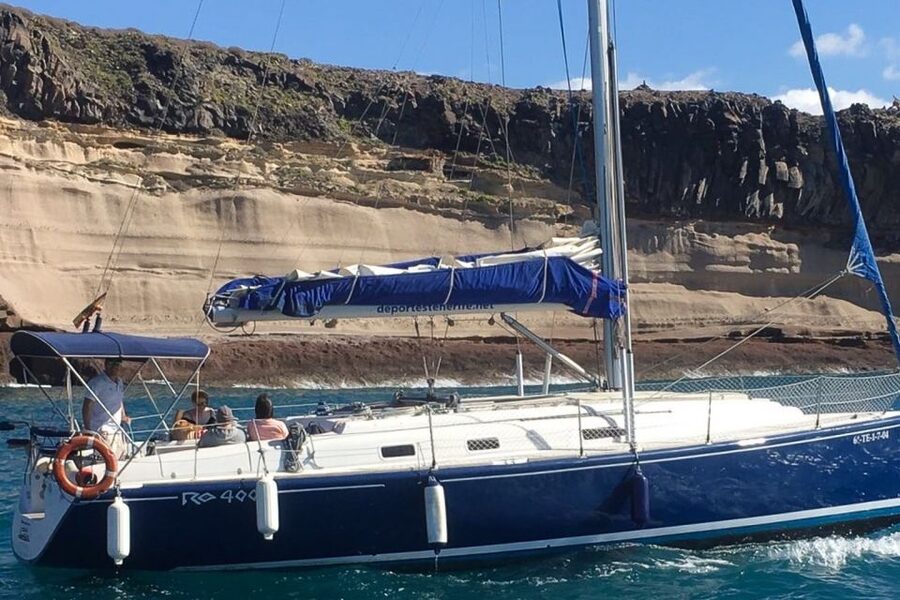 Tenerife: Luxury Private Whale & Dolphin Watching Tour - Who will get the most from this cruise?
