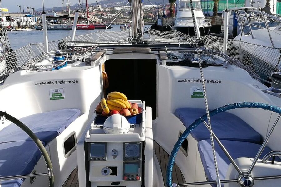 Tenerife: Luxury Private Whale & Dolphin Watching Tour - Watching for pilot whales, dolphins, and turtles