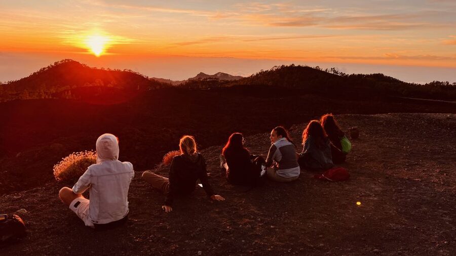 Tenerife: Private VIP Tour Teide National Park - From southern Tenerife to the volcanic high country