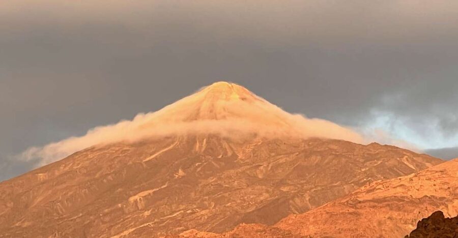 Tenerife: Private VIP Tour Teide National Park - The Pino Gordo and the Canary Island pine forest