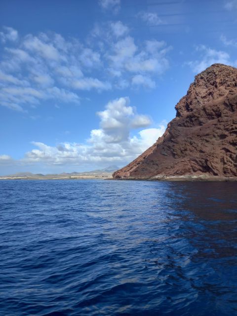 Tenerife south: safari with luxury boat , animals encounters - Practical details to settle before departure