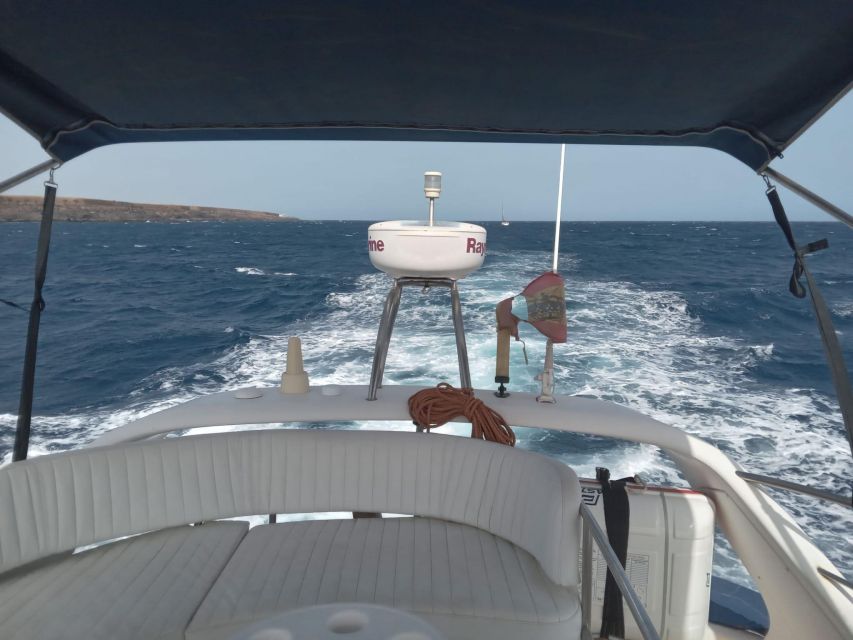 Tenerife south: safari with luxury boat , animals encounters - Watching for whales and dolphins off Tenerife