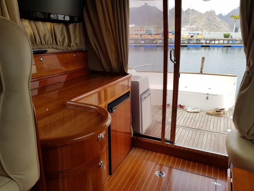 Tenerife south: safari with luxury boat , animals encounters - The halfway swim in an exclusive bay