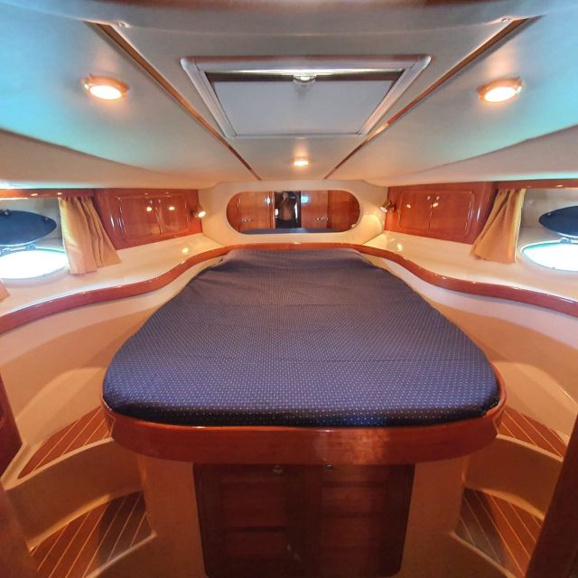 Tenerife south: safari with luxury boat , animals encounters - Who will enjoy this boat trip most
