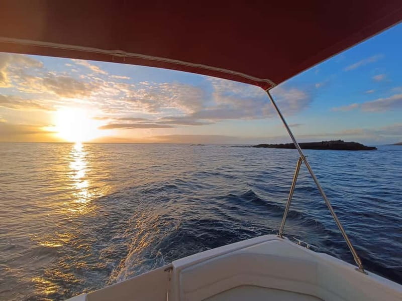 Tenerife: VIP Private Luxury 2 Hour Sunset Boat Charter - What the $412 group price means