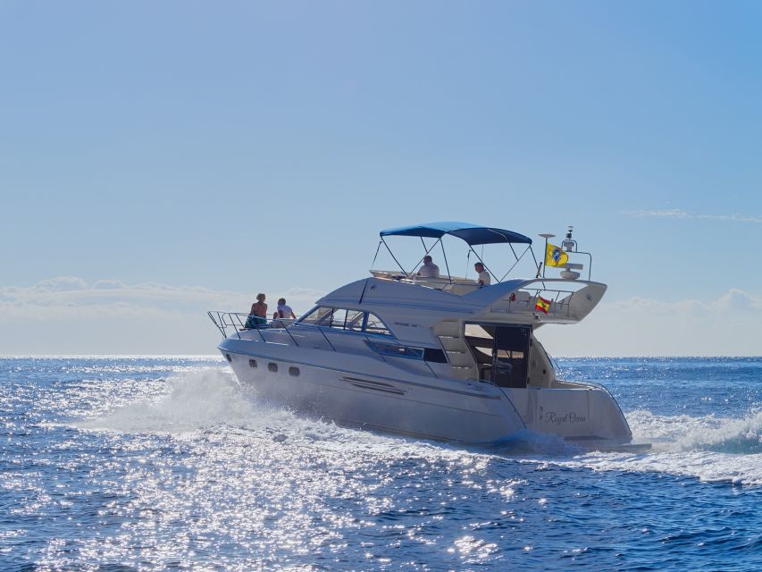 Tenerife: Whales and Snorkeling Tour on a Luxury Yacht - Practical tips for a smoother trip