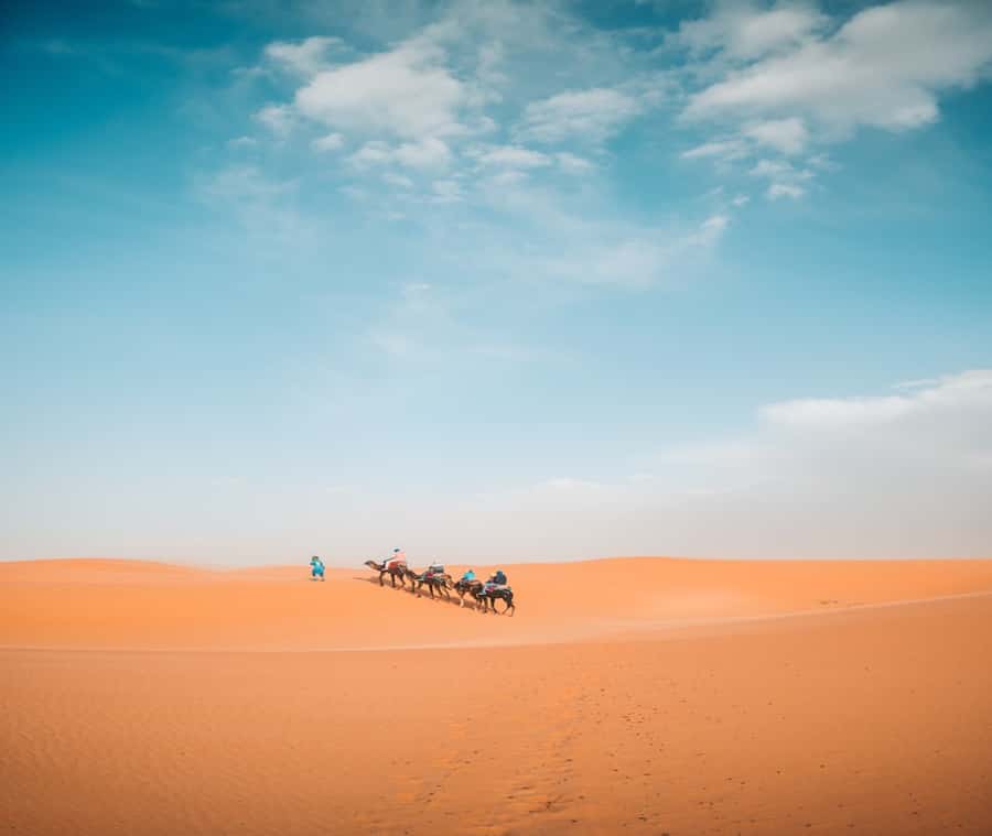 the luxury 2days 1night desert tour from fez to fez/marakech - From Fez to the Atlas Mountains in one morning