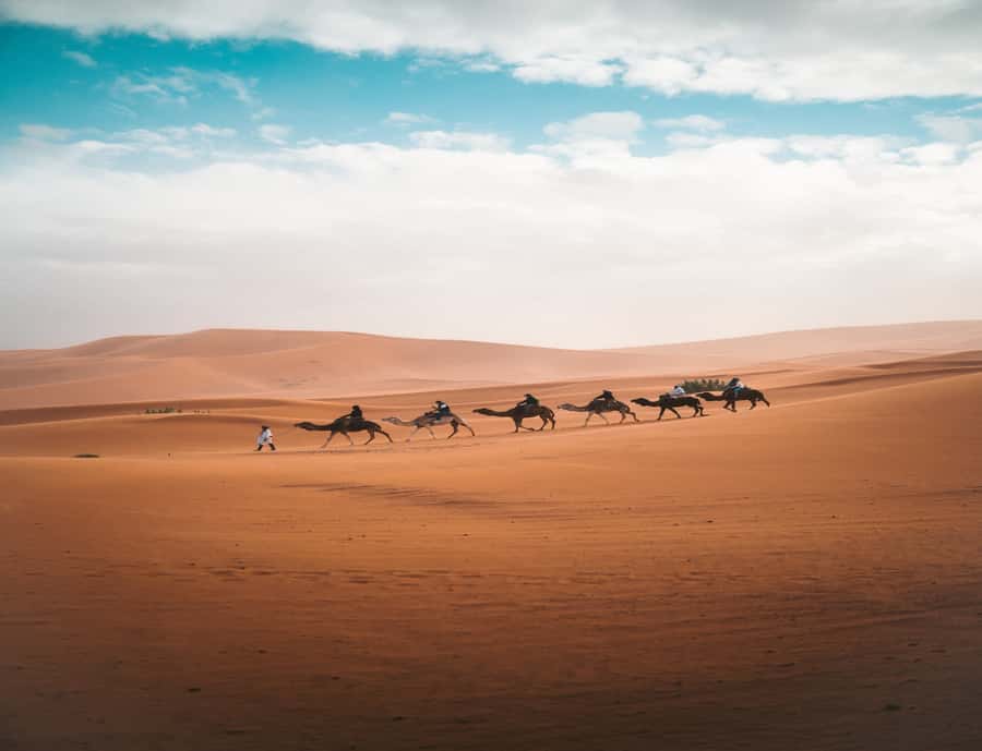 the luxury 2days 1night desert tour from fez to fez/marakech - What the $119 price really covers