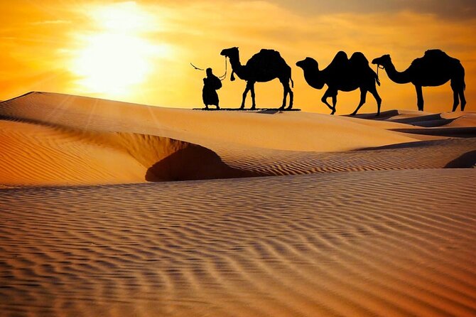 Thrilling dune bashing with VIP Desert camp delicious BBQ & shows - From Dubai Pickup to the Hatta Oman Road