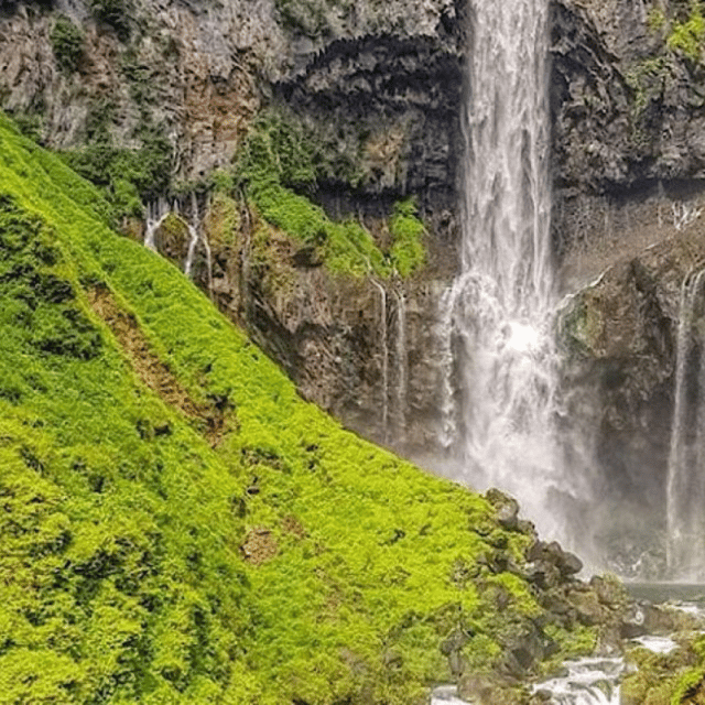 Tokyo: Luxury Nikko Private 1 Day Tour Low Price Guaranteed - Should you book the Nikko private tour?