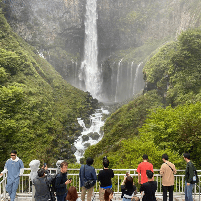 Tokyo: Luxury Nikko Private 1 Day Tour Low Price Guaranteed - Why a private Nikko day makes sense
