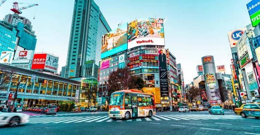 Tokyo:Luxury Private Tour with English-Speaking driver - Shibuya Crossing and Takeshita Street options