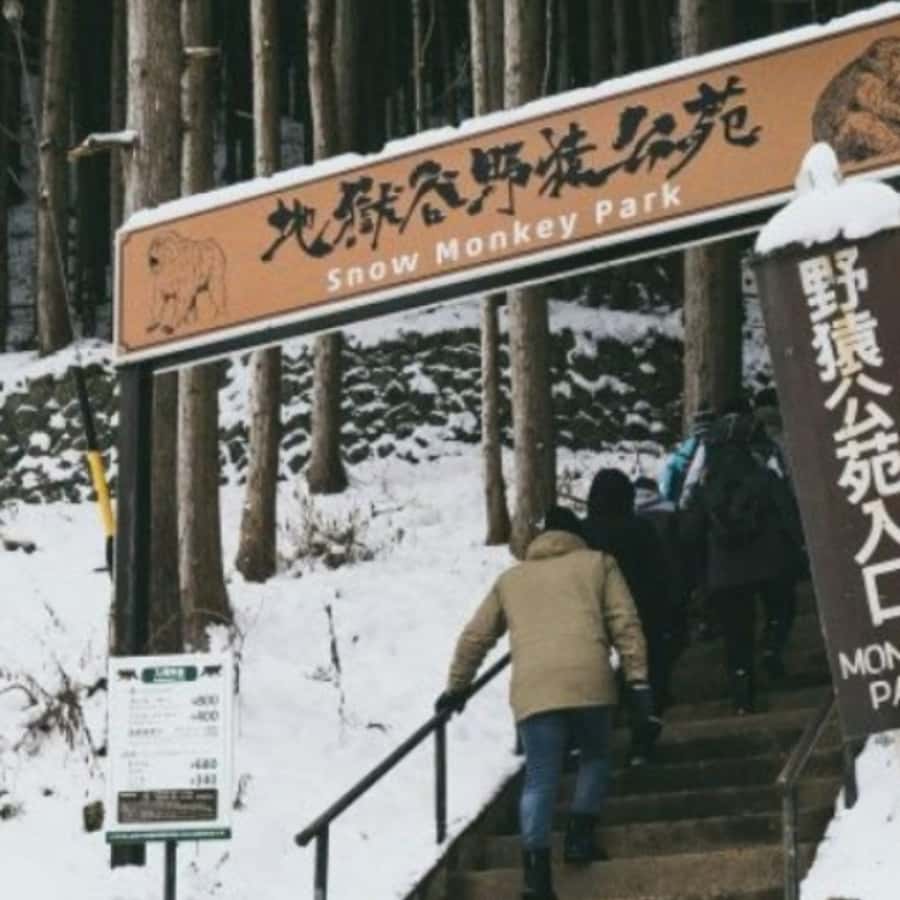 Tokyo: Luxury Snow Monkey Park Private Tour In Land Cruiser - A private Land Cruiser is useful on a long Nagano day