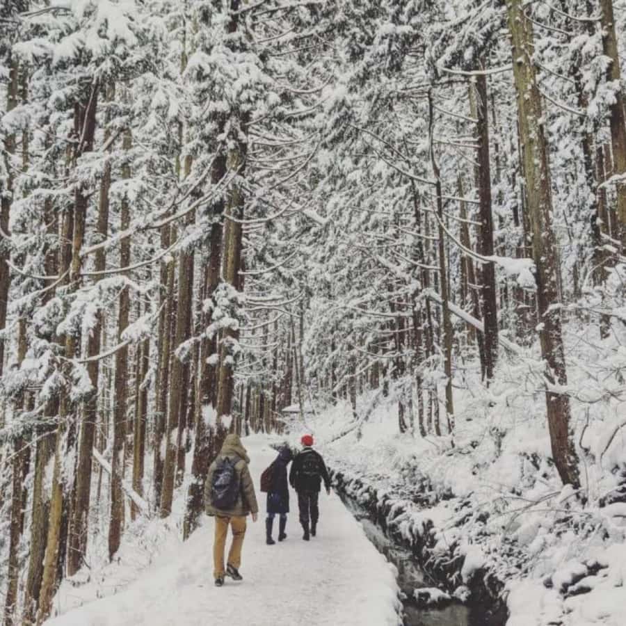 Tokyo: Luxury Snow Monkey Park Private Tour In Land Cruiser - Zenkoji Temple brings a calm start or finish