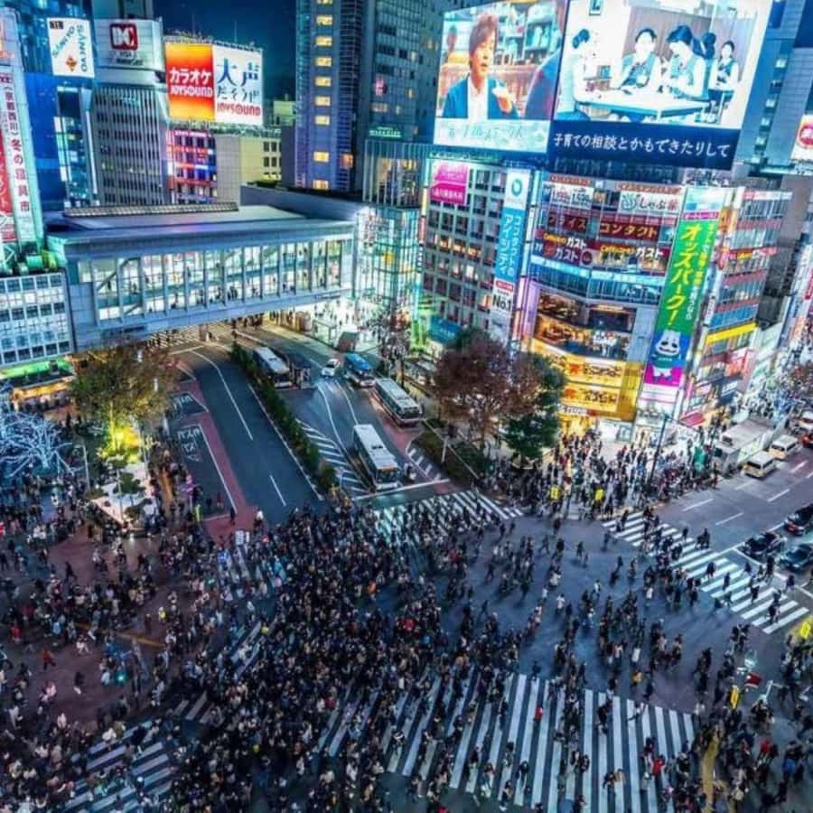 Tokyo: Luxury Tokyo Private City Tour In Luxury Land Cruiser - Key points to know before booking