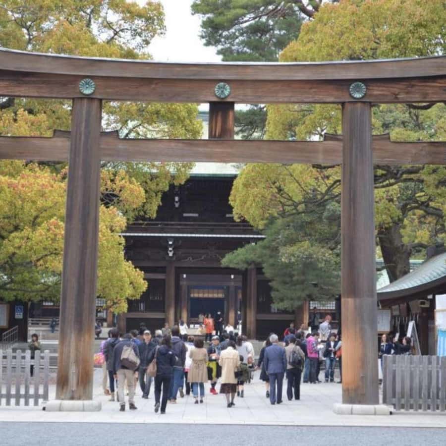 Tokyo: Luxury Tokyo Private City Tour In Luxury Land Cruiser - Tokyo One Piece Tower and ticket planning