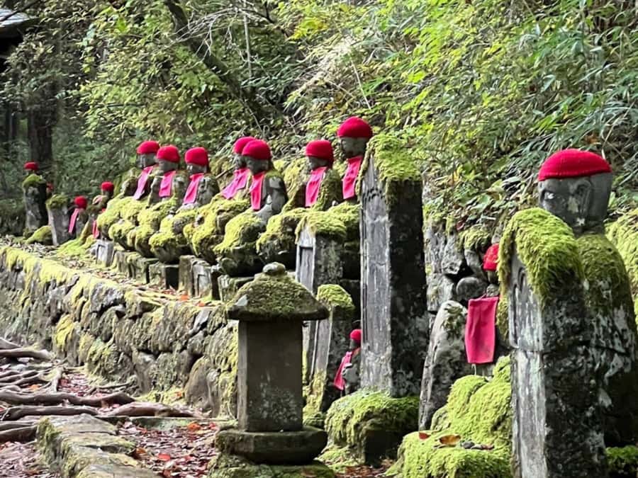 Tokyo: Private Nikko Sightseeing Tour In Luxury Land Cruiser - Why a private drive makes Nikko easier