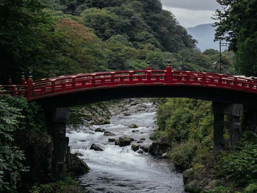 Tokyo: Private Nikko Sightseeing Tour In Luxury Land Cruiser - Nikko National Park without rushing between buses