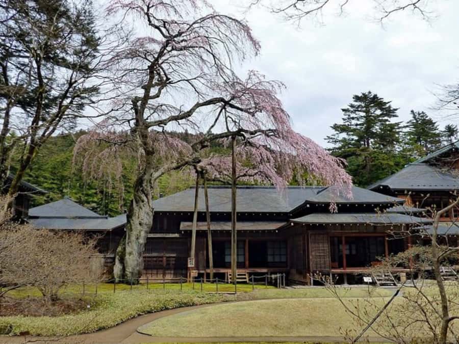 Tokyo: Private Nikko Sightseeing Tour In Luxury Land Cruiser - Kegon Falls and Akechidaira viewpoints