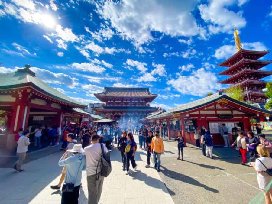 Tokyo Private Tour English Pro Guide By Luxury Vehicle - A private way to connect Tokyo’s distant districts