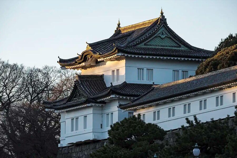 Tokyo Private Tour English Pro Guide By Luxury Vehicle - What the private vehicle changes