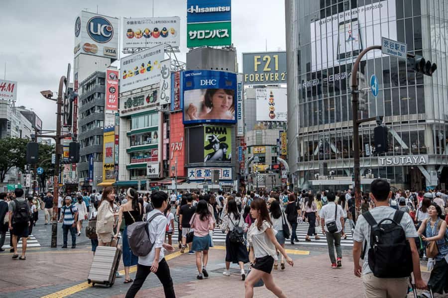 Tokyo Private Tour English Pro Guide By Luxury Vehicle - Tsukiji for food, with your own budget