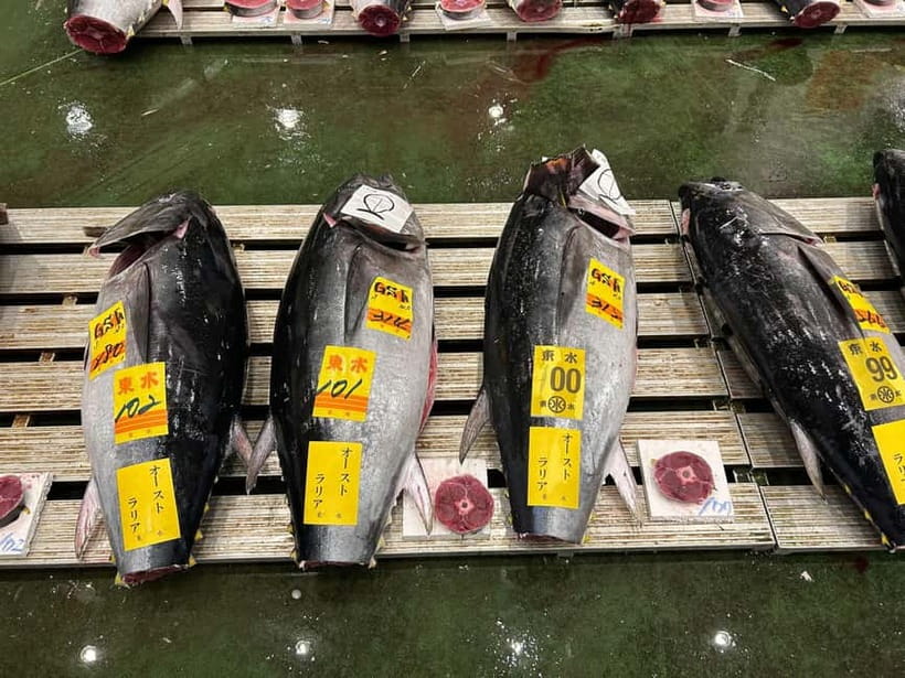 Tokyo Toyosu Tuna Auction + Breakfast (Sushi Dai or Bentomi) - Choosing the ground-level deck or third-floor gallery