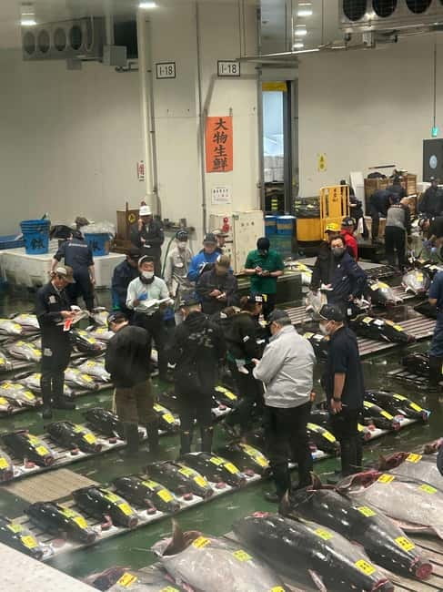 Tokyo Toyosu Tuna Auction + Breakfast (Sushi Dai or Bentomi) - Meeting tuna wholesalers after the auction