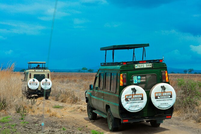 Top Best 5 Days Tanzania Luxury Safari to Serengeti - Day 1: elephants and baobabs in Tarangire