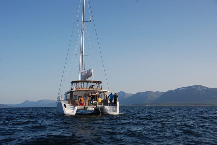 Tromsø: Fjord and Islands Luxury Catamaran Cruise - Booking details worth knowing
