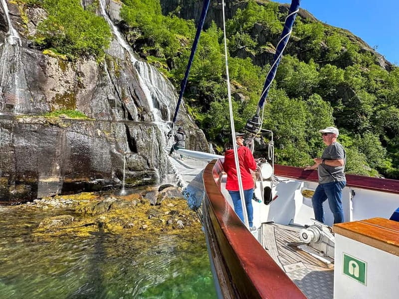 Tromsø: Luxury Summer Fjord Cruise with Lunch & Hot Tub - Wildlife watching with room to look properly