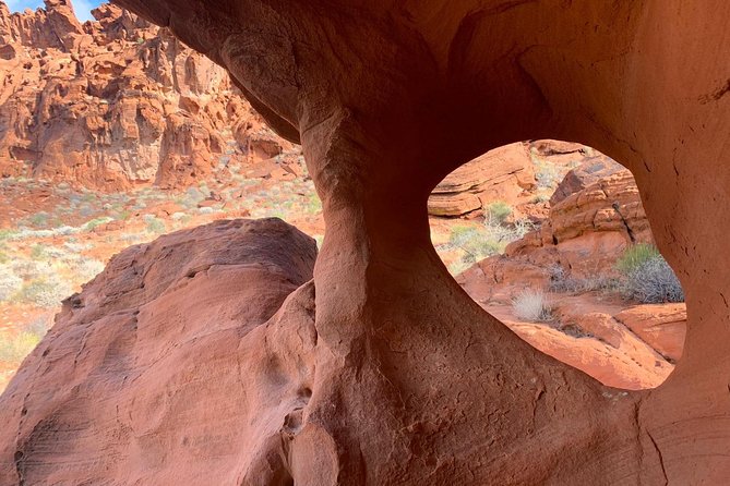 Valley of Fire/ Mojave Desert VIP Small Group Tour From Las Vegas - Trails, heat, and how much walking to expect