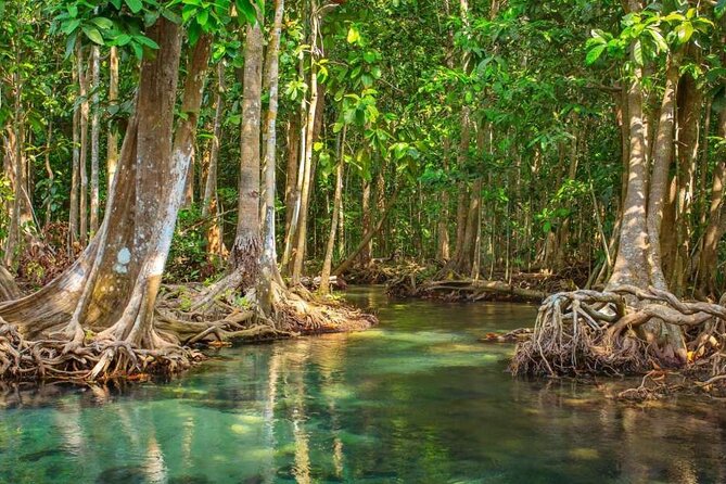 Vam Sat Mangrove Forest - VIP Private Tour - The Dan Xay reception station at 9 a.m.