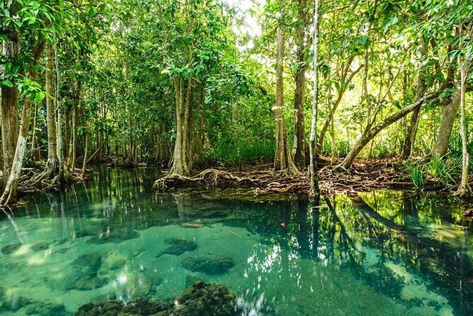 Vam Sat Mangrove Forest - VIP Private Tour - The 26-meter tower and wider views