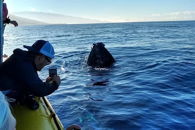 VIP (12 Guests ONLY) Ultimate Whale Watch - Practical booking advice for Lahaina