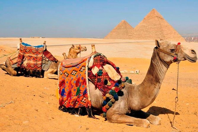 VIP All inclusive Best of Giza Pyramids, Sphinx, Sakkara, Memphis - Memphis: an ancient capital in a short final stop