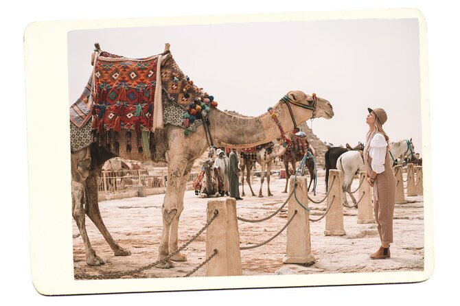 VIP All inclusive Best of Giza Pyramids, Sphinx, Sakkara, Memphis - Transport, timing, and guide quality