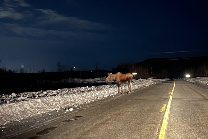 Vip Aurora Adventure from Fairbanks - The 11 pm pickup in Fairbanks
