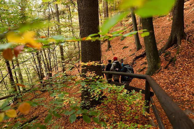 VIP Best Reviews: Bohemian & Saxon Switzerland from Prague - Tisá Rocks and the Narnia feeling