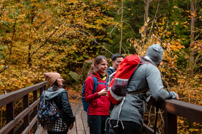 VIP Best Reviews: Bohemian & Saxon Switzerland from Prague - Pravčická Gate and the Kamenice Gorges
