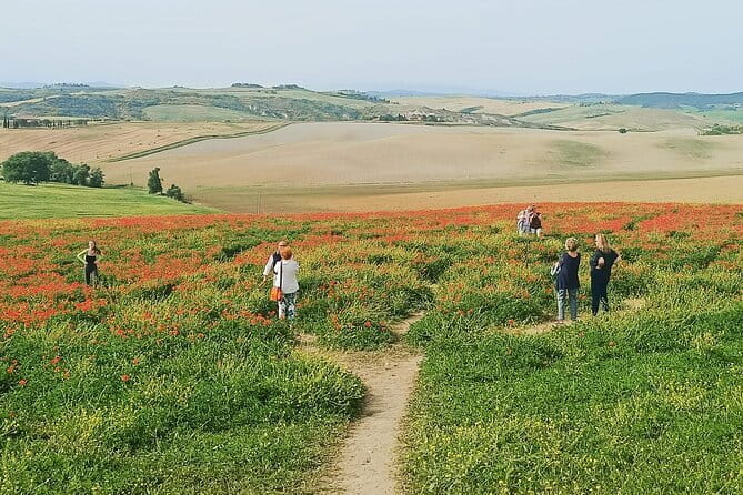 VIP Brunello Montalcino, Montepulciano & Val d'Orcia with Lunch - Why this route works from Florence