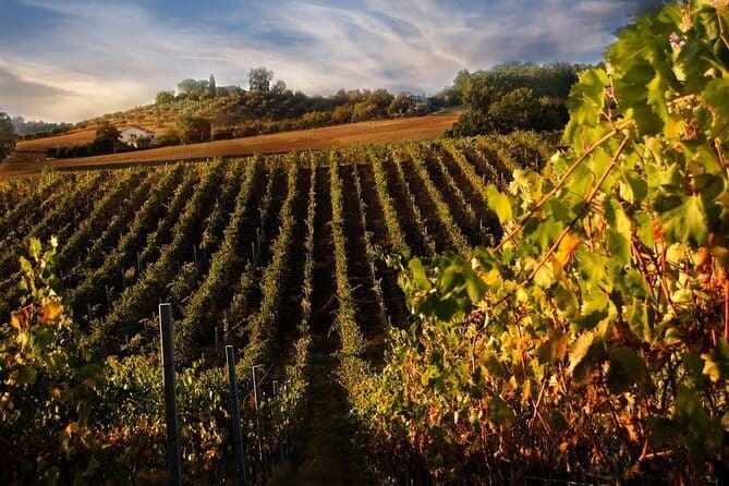 VIP Brunello Montalcino, Montepulciano & Val d'Orcia with Lunch - Who will enjoy this Tuscany day most