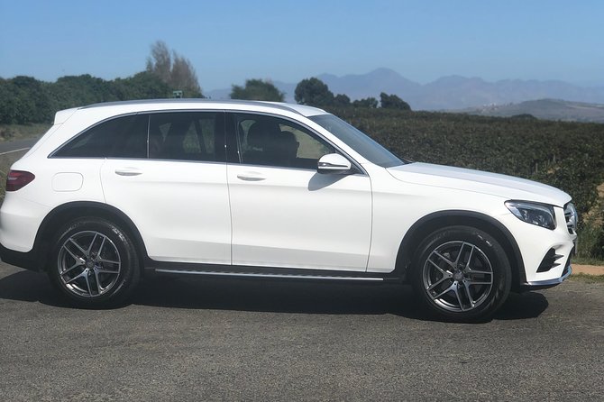 VIP Cape Town Private Guided Tour in Premium Luxury Vehicle - A strong fit for families, couples, and small groups