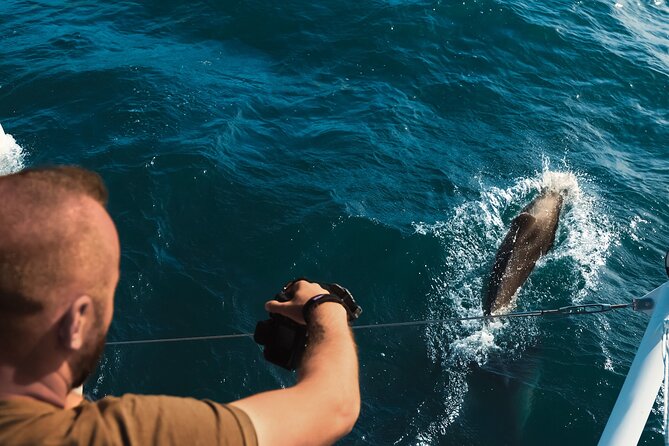 VIP Catamaran 4 hour Activity with Snorkeling in Bulgaria - Morning or afternoon departure?