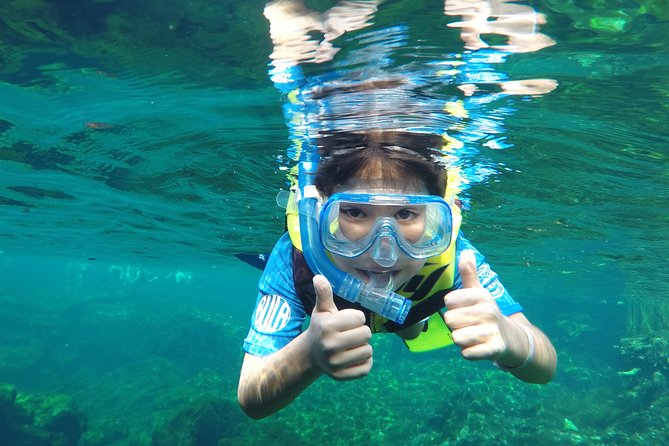 VIP Cenotes Private Tour - Yal-ku Lagoon, the fish-filled first stop